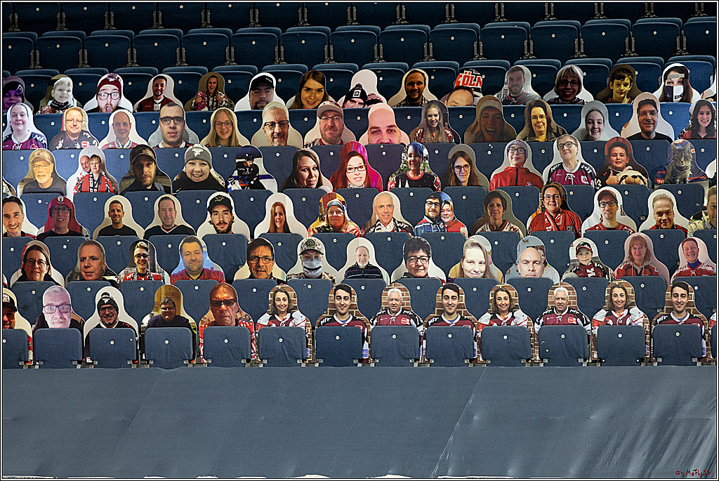 PENNY DEL;  Koelner Haie - Fischtown Pinguins Bremerhaven; Koeln, 12.02.2021